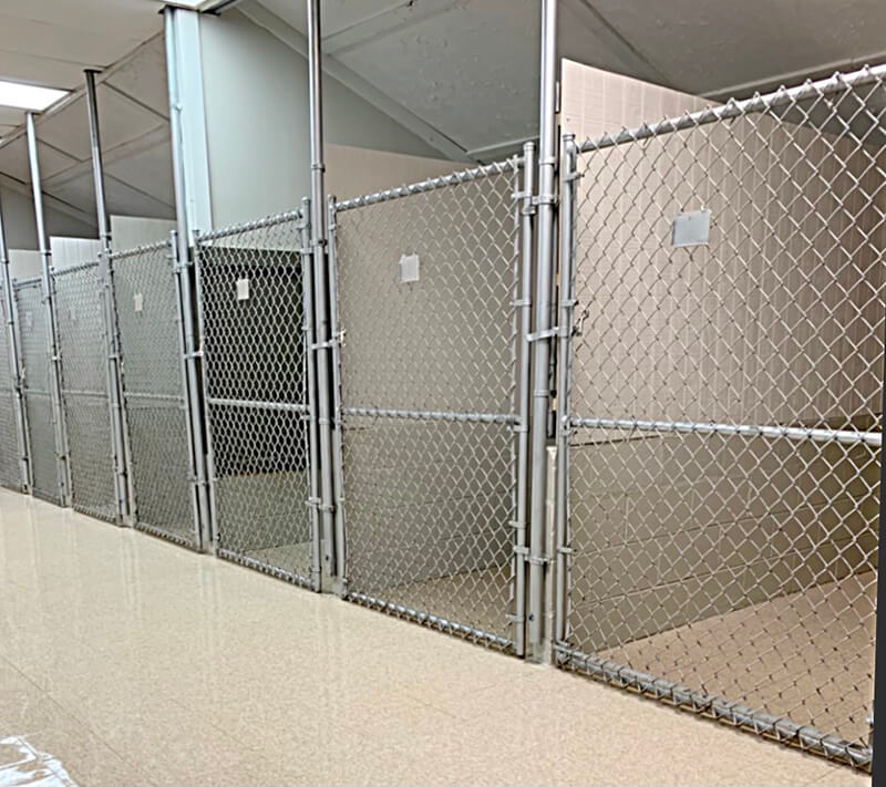 North Hall Dog Kennel - Dog Kennels