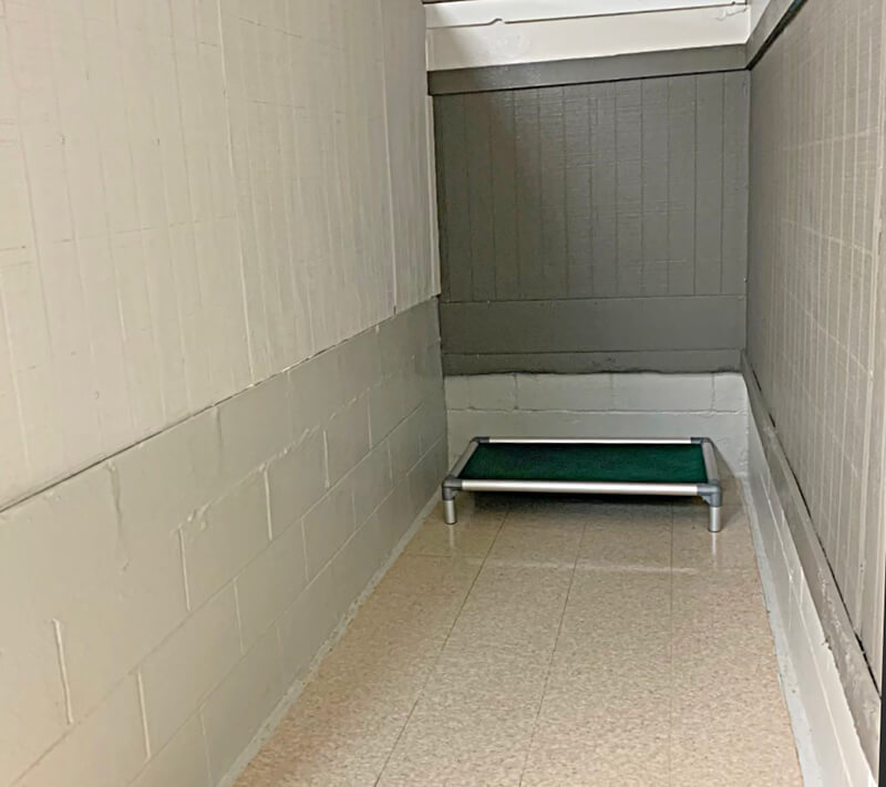 North Hall Dog Kennel - Dog Kennels